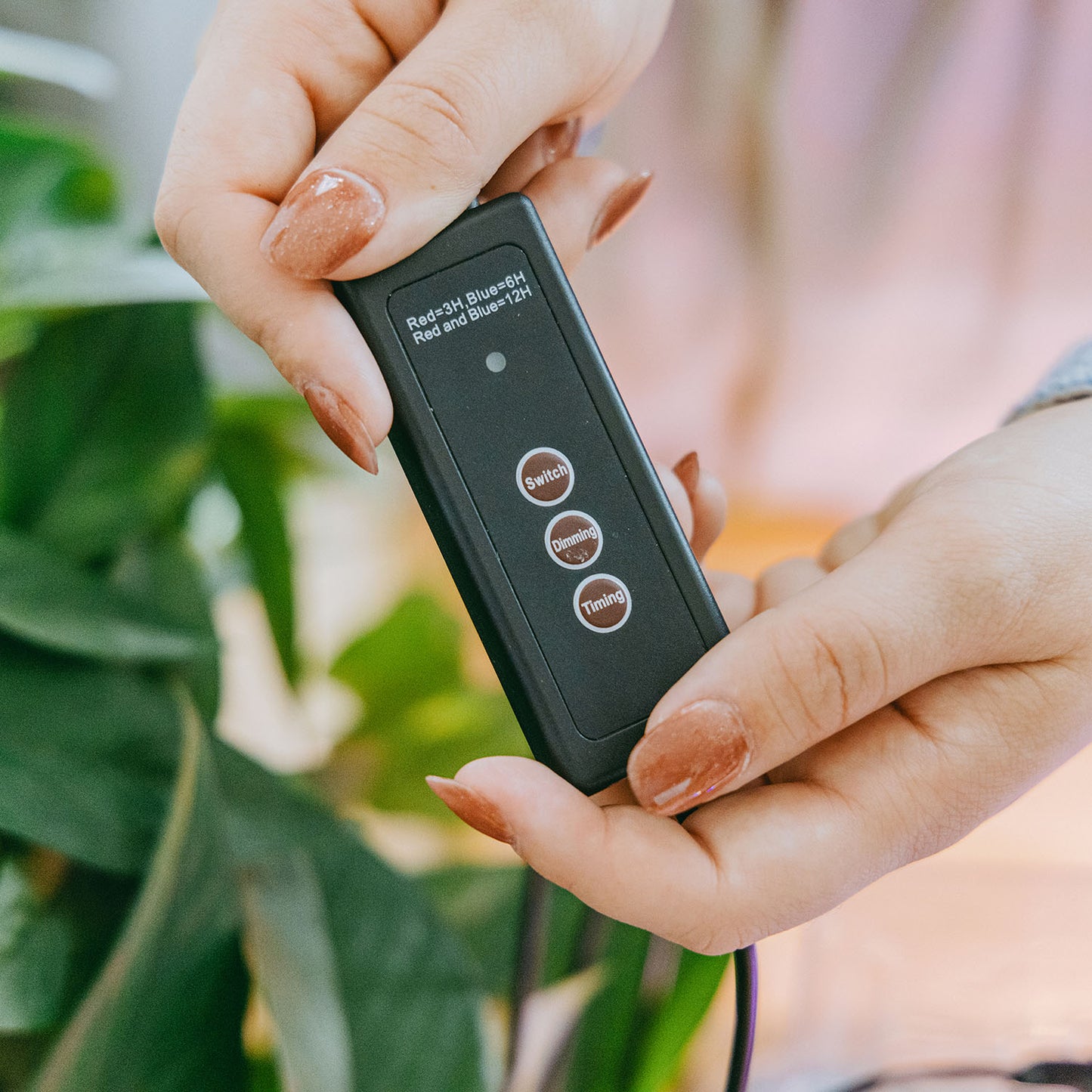 All-In-One Seed Starter Kit