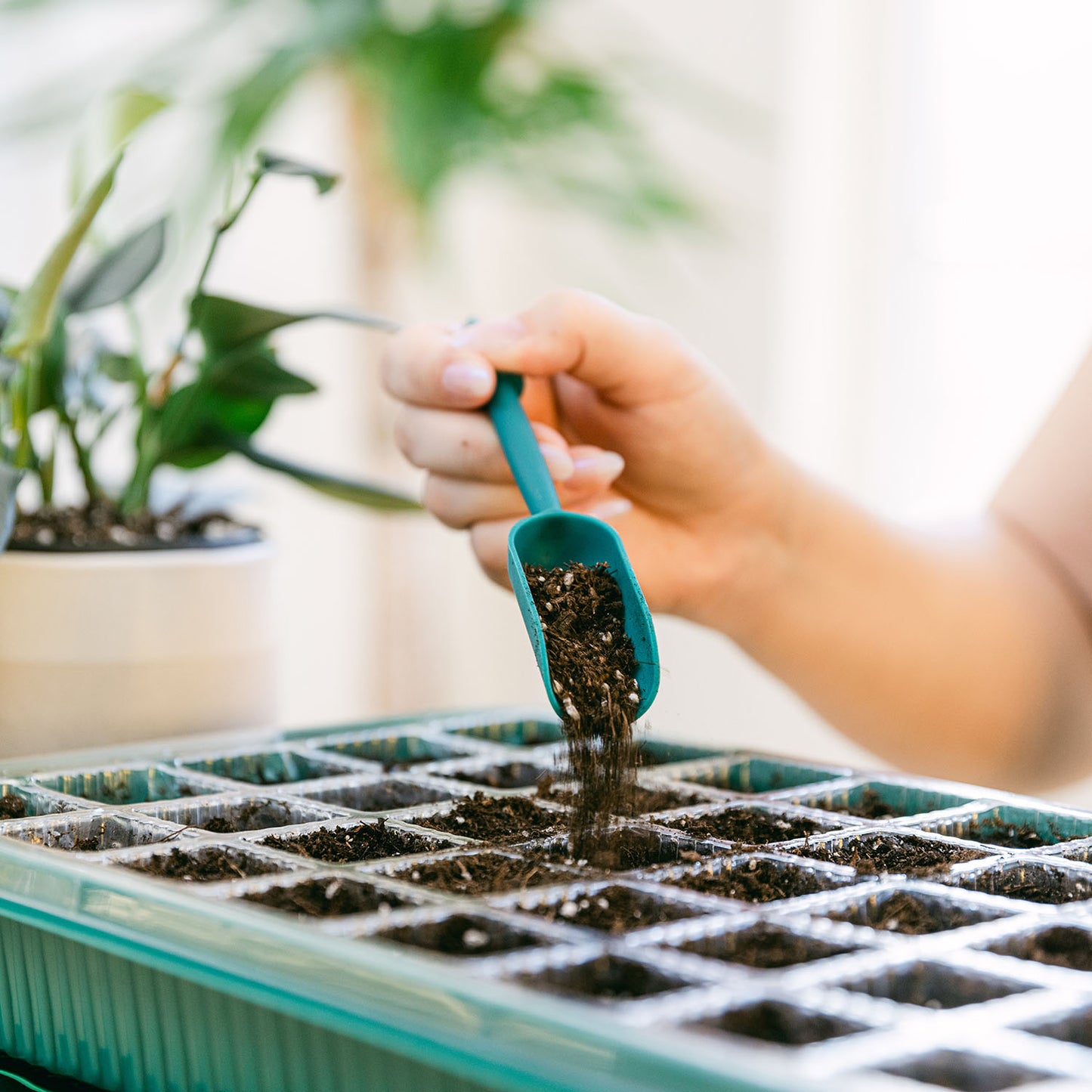 All-In-One Seed Starter Kit