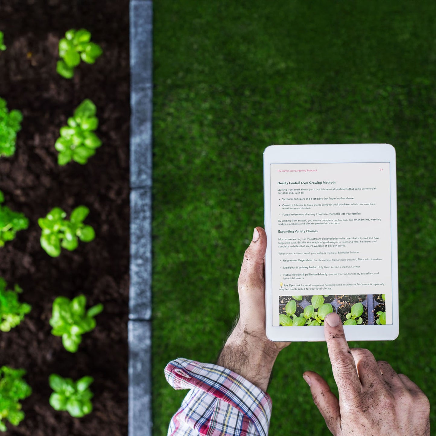 The Advanced Gardening Playbook