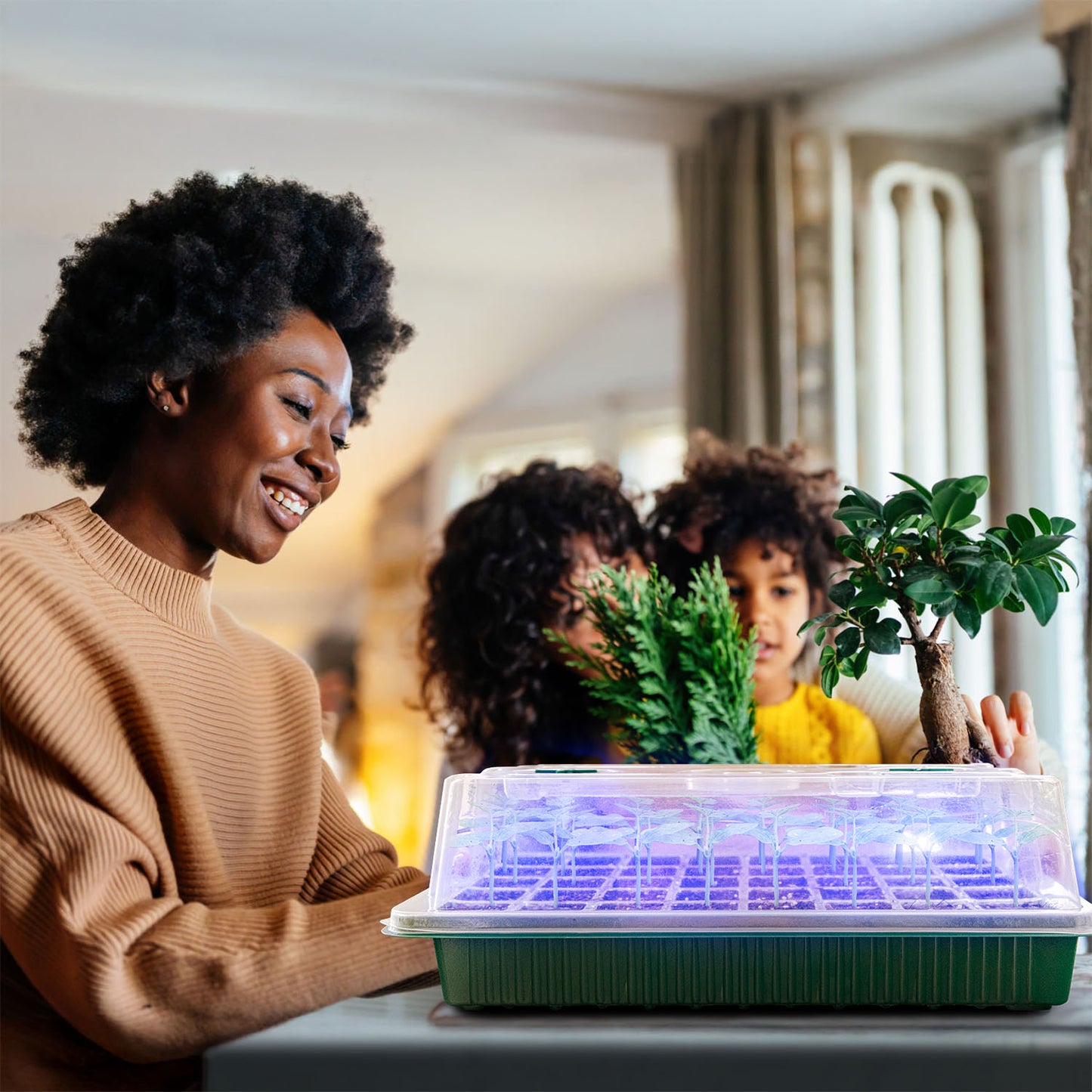 All-In-One Seed Starter Kit (3-Pack)