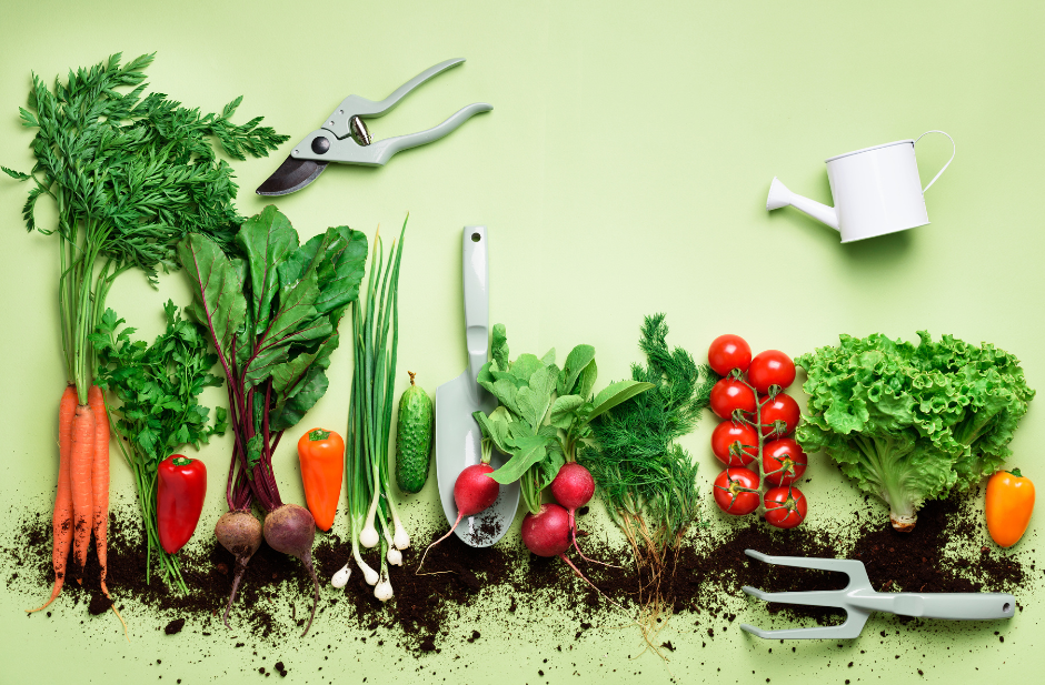 Growfriend’s Guide to Vegetable Gardening Indoors (Yes, Even in Winter!)