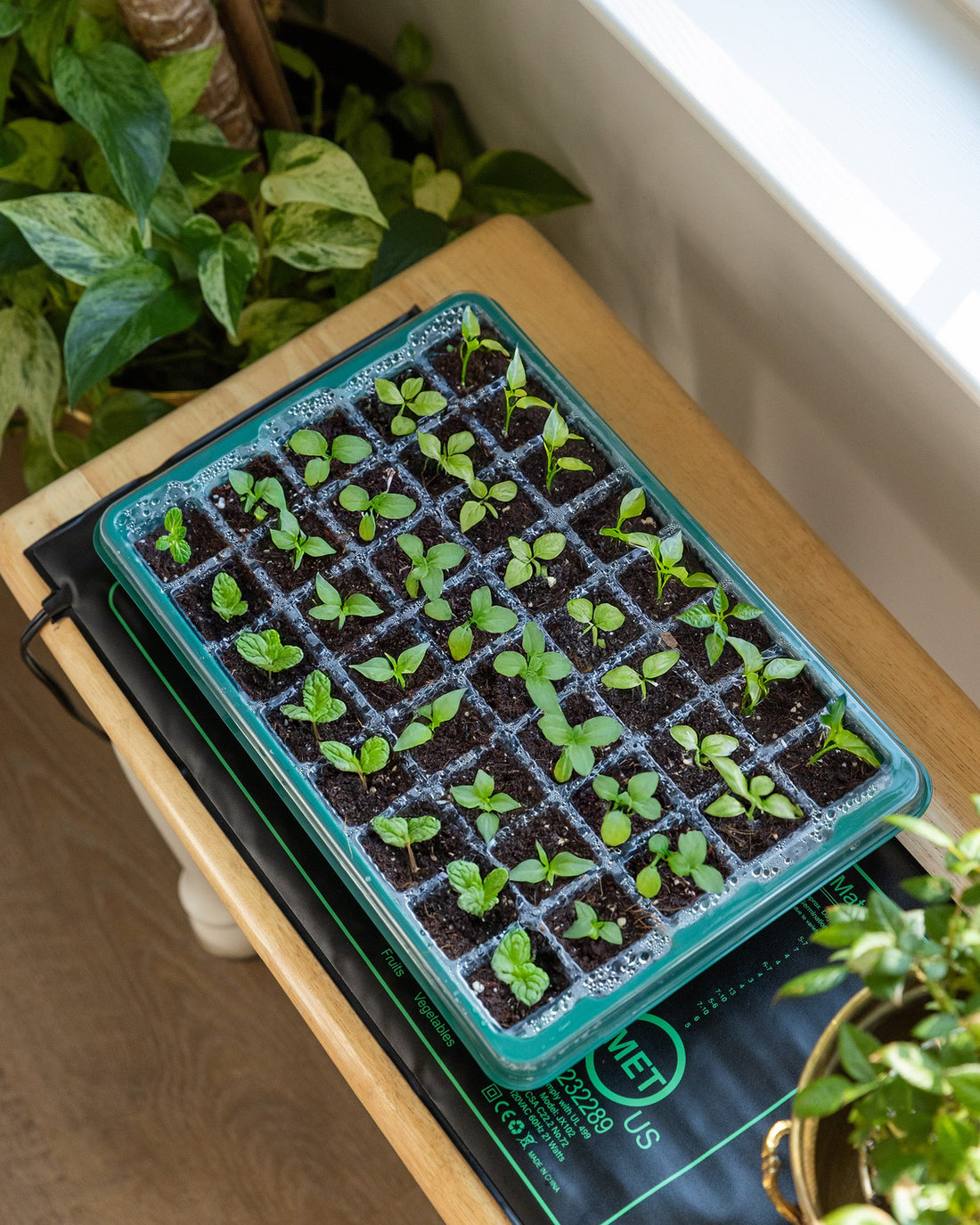 April Planting Guide: What to Grow This Spring