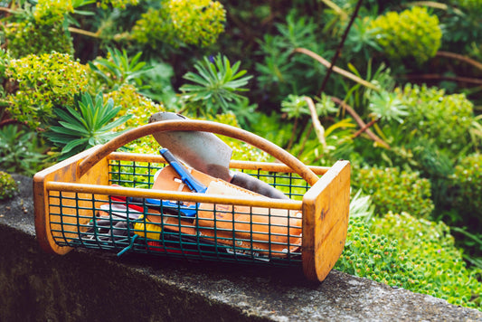 The Ultimate Fall Garden Clean-Up Checklist (and Why It Matters)